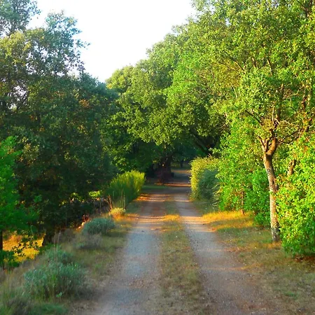 Les Terres De L'arcanel
