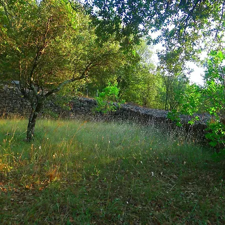 Les Terres De L'arcanel * Corbés